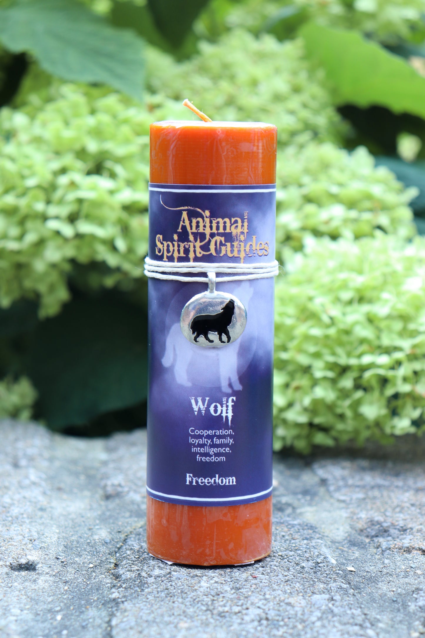 Animal Spirit Guides Candle ‧ Wolf