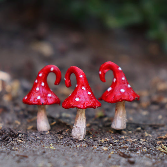 Mini Curl Top Mushrooms