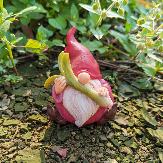 Miniature Onion Gnome