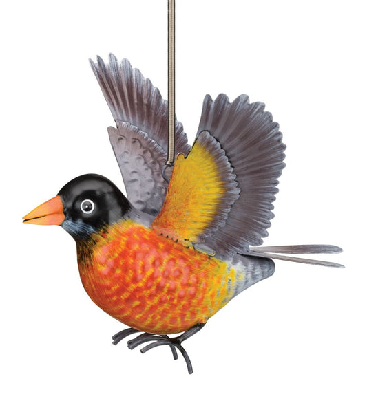 Robin Bouncie