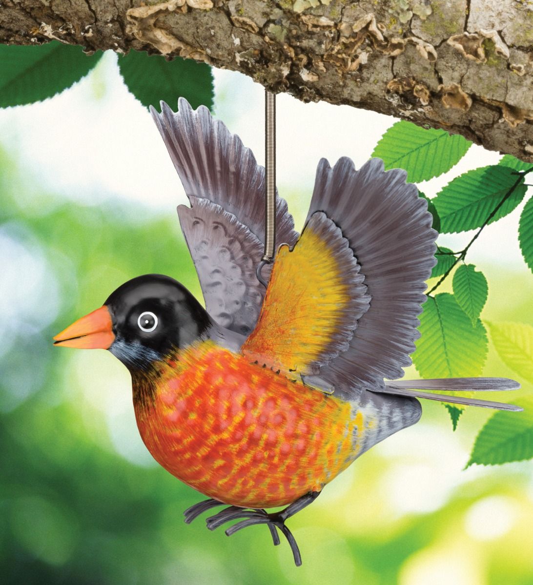 Robin Bouncie