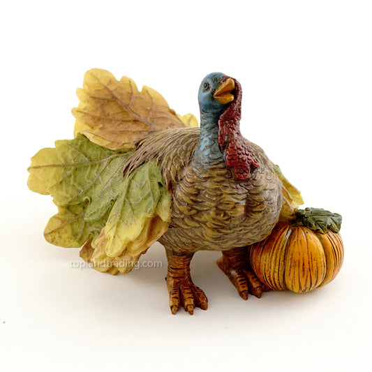 Miniature Turkey with Pumpkin