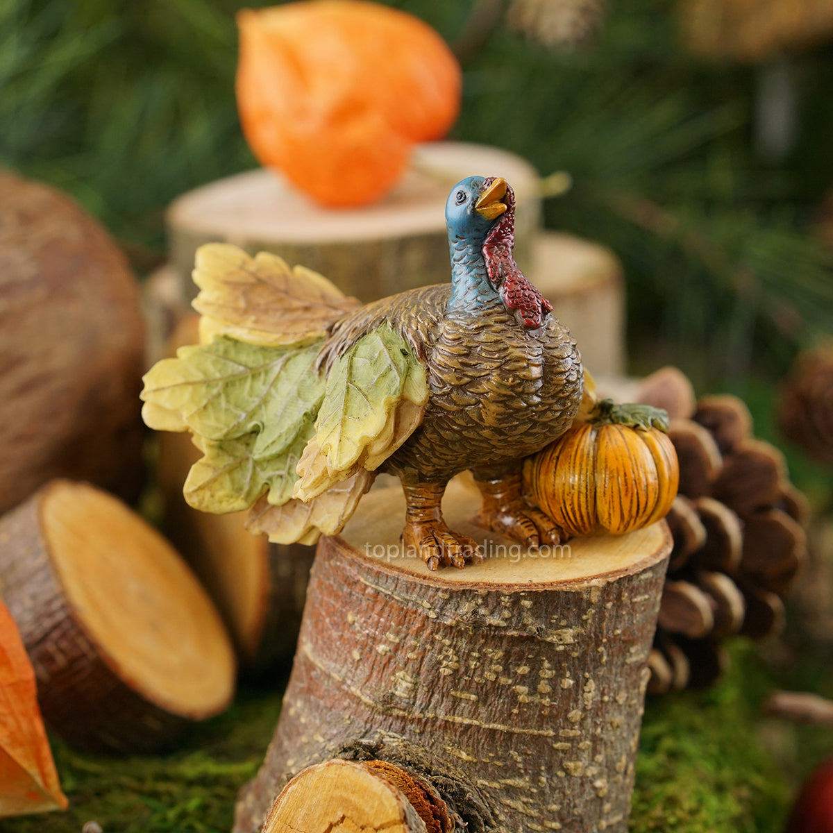 Miniature Turkey with Pumpkin