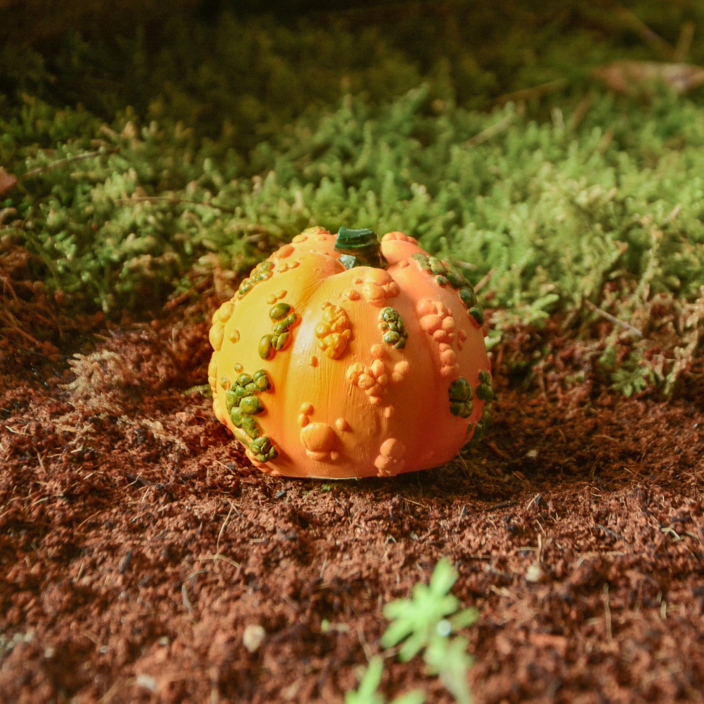 Miniature Warty Pumpkin