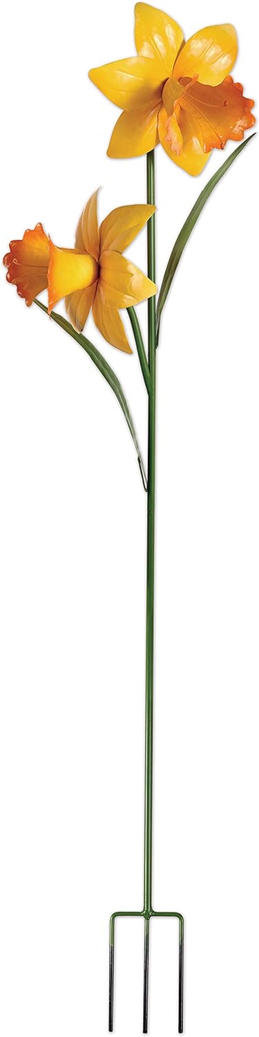 50" Daffodil Double Stake