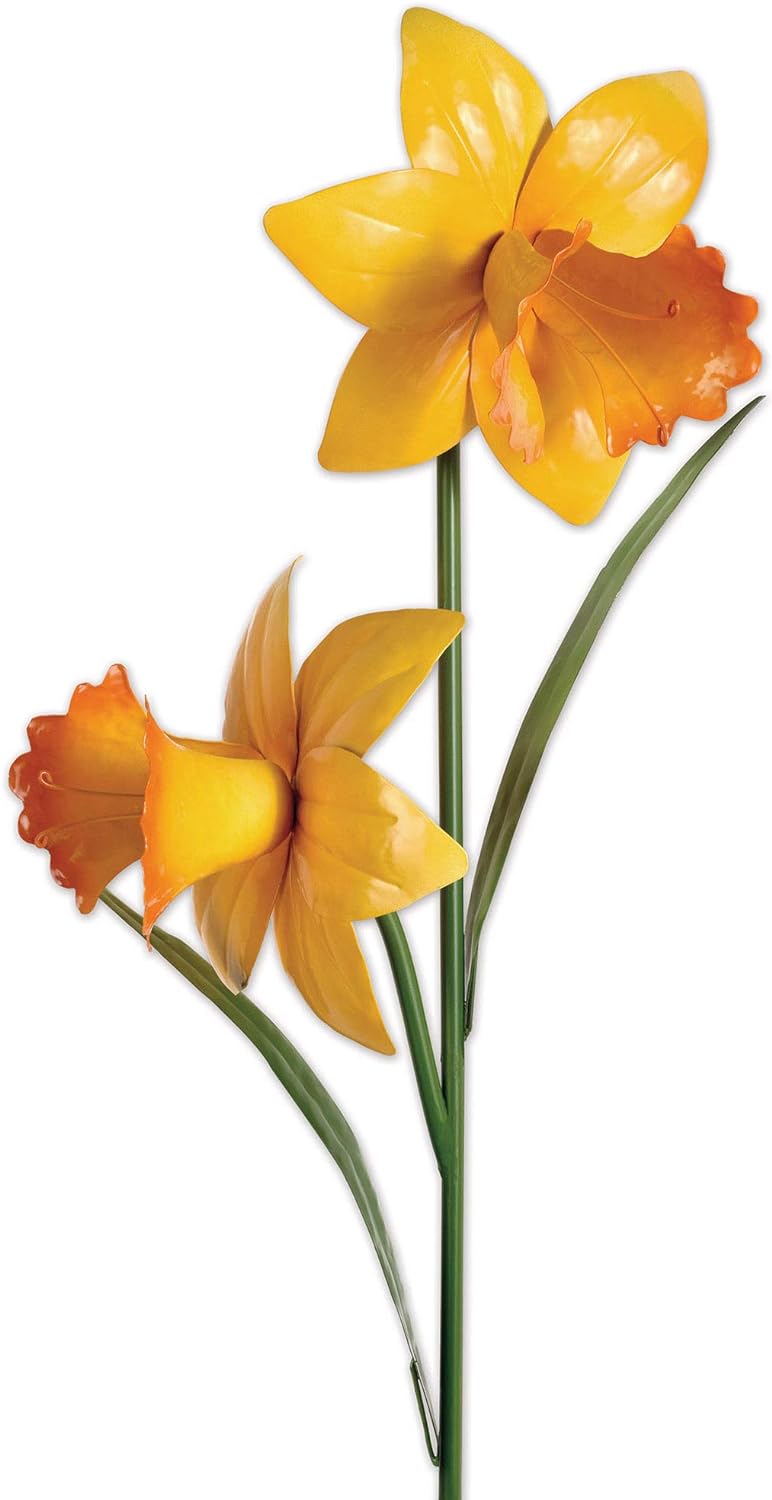 50" Daffodil Double Stake