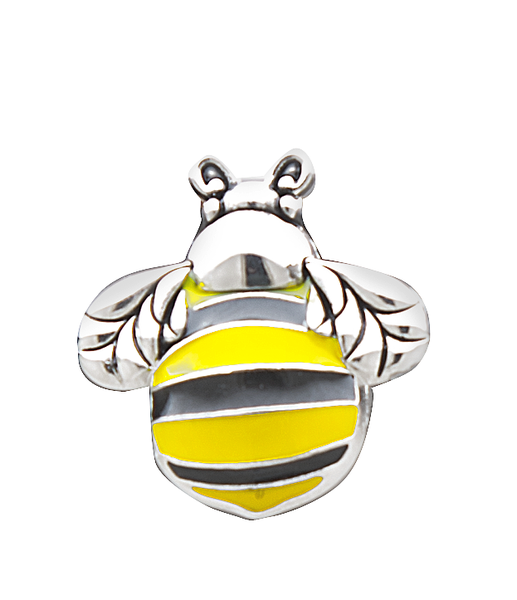 The Bumble Bee Cannot Fly Pocket Charm