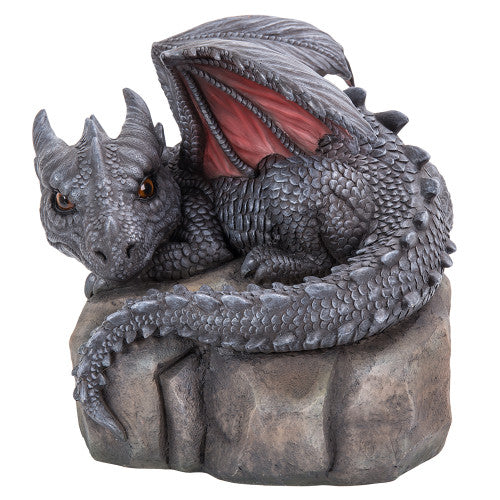 Garden Dragon Laying On a Rock
