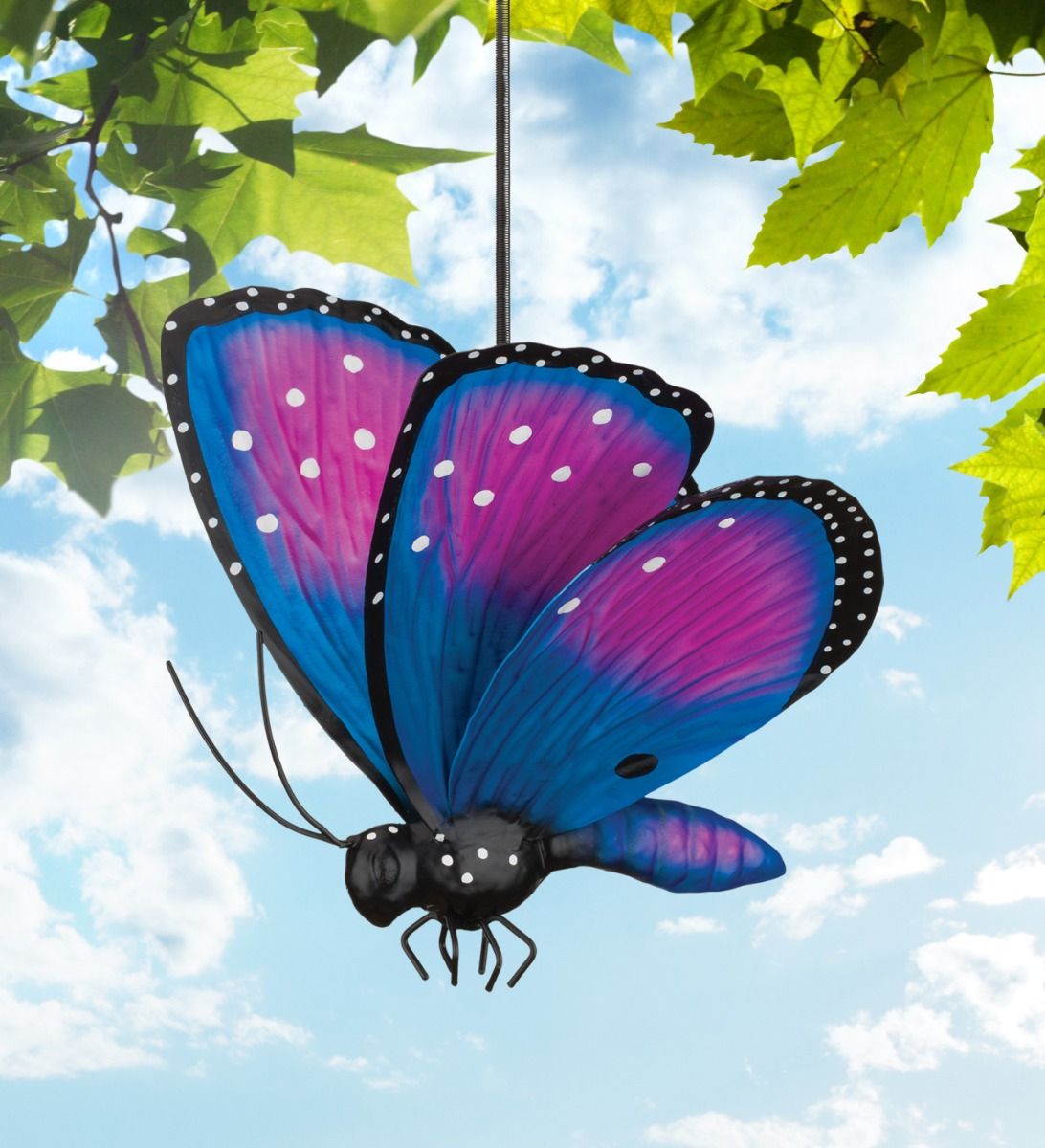 Butterfly Bouncie - Papillon