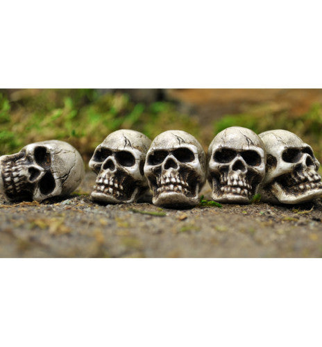 Halloween Mini Skull Head Set