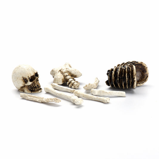 Halloween Mini Skeleton Bones Set