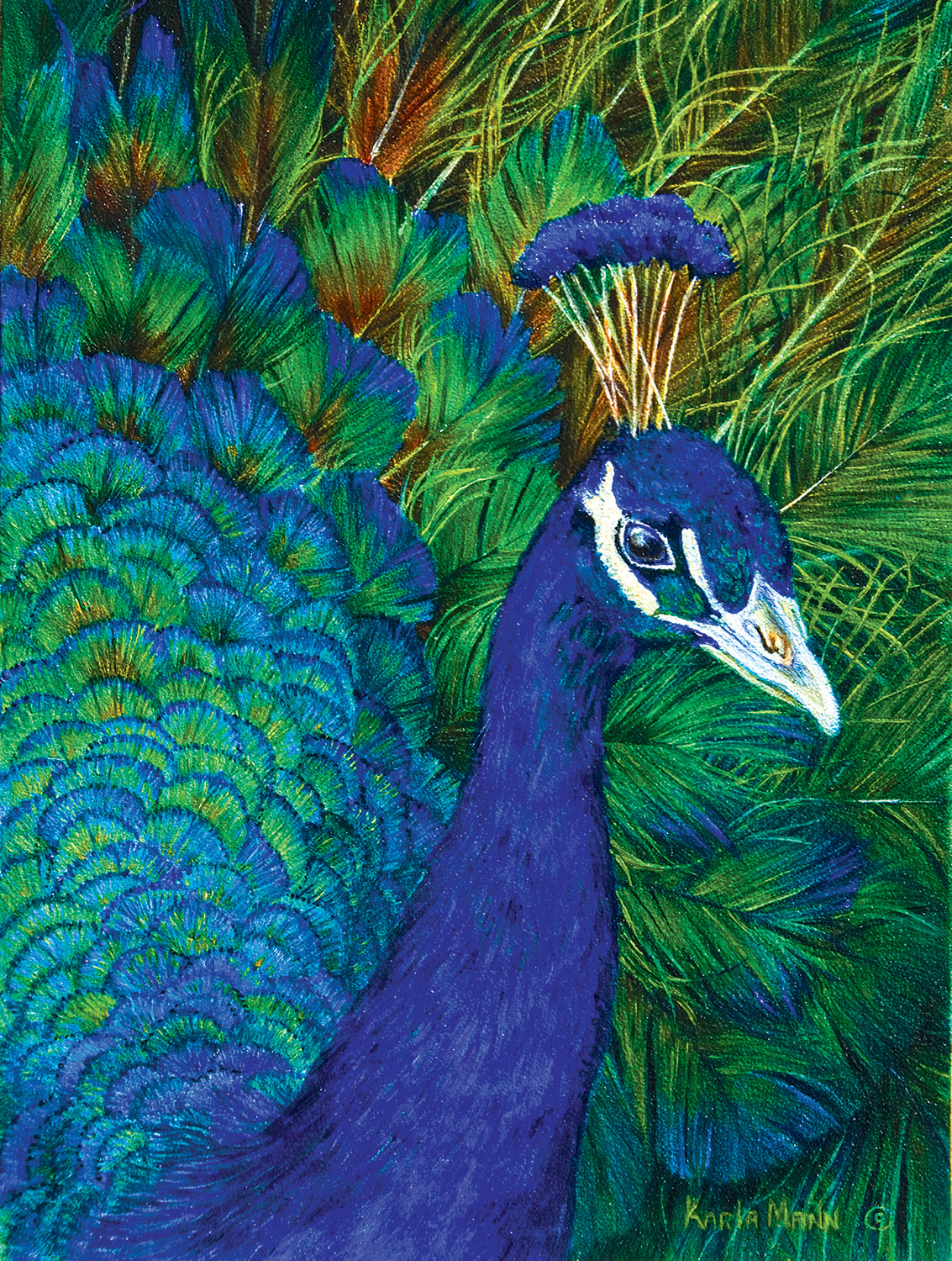 Peacock - 1000 pc