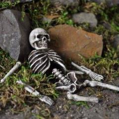 Halloween Mini Skeleton Bones Set