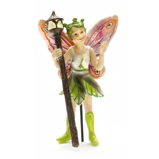 Night Fairies Braith