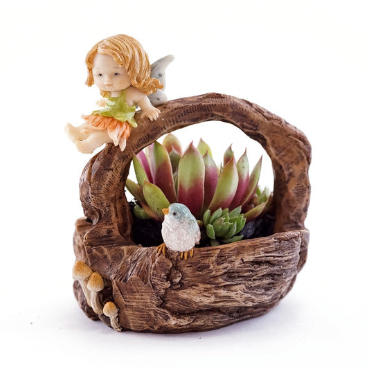 Fairy Caroline on Tillandsia Planter
