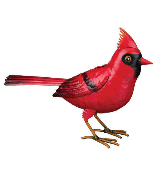 Cardinal Decor