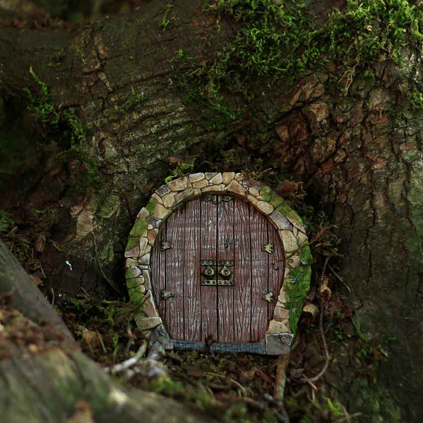 Enchanted Fairy Door