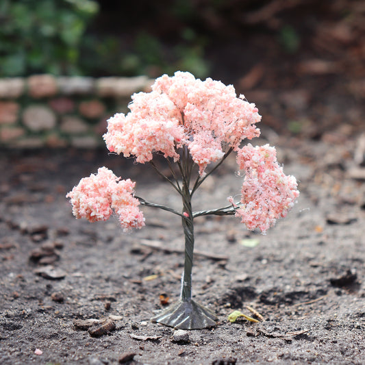 Spring Dogwood Tree