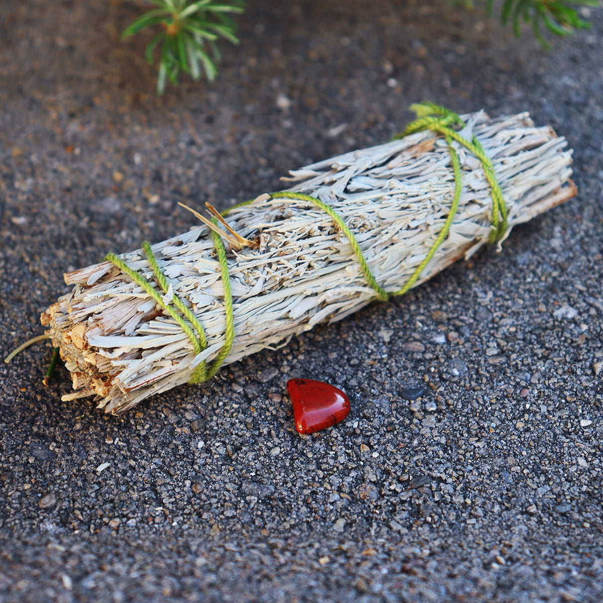 Blue Sage Smudge with Red Jasper