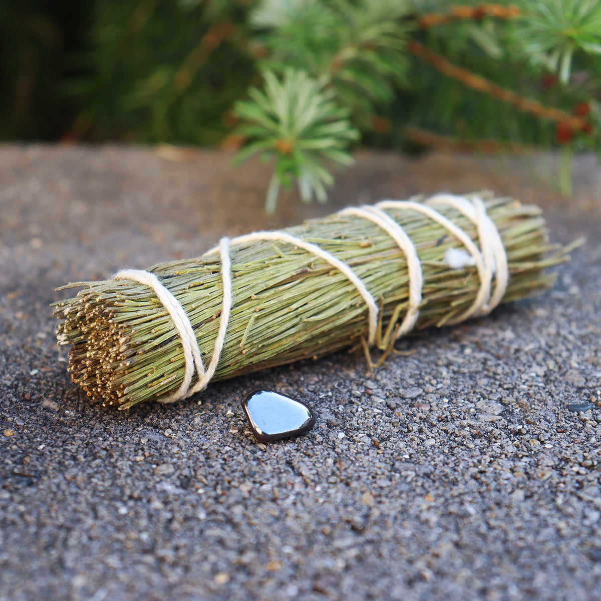 Mountain Sage Smudge with Hematite