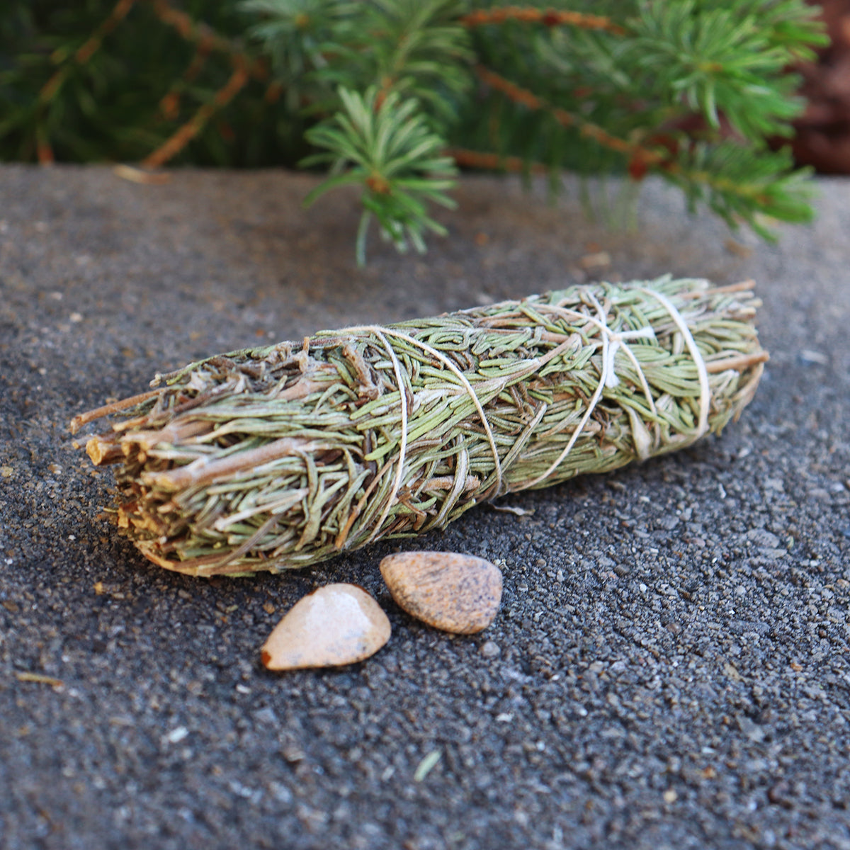 Mountain Sage Smudge with Jasper