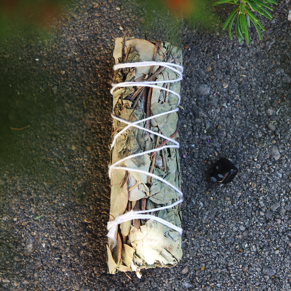 Eucalyptus Smudge with Snowflake Obsidian