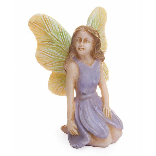 Fairy Wondering
