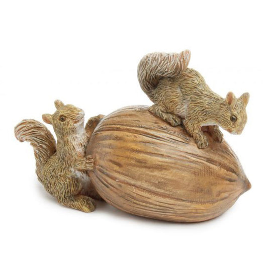 Squirrels Delight