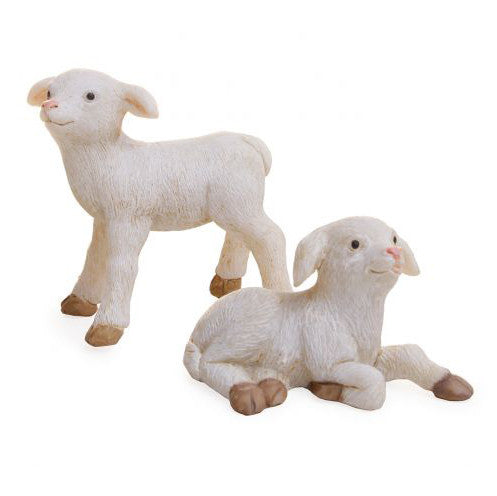 Lamb
