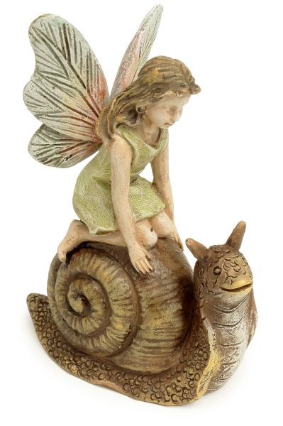 Fairy Racing Snail