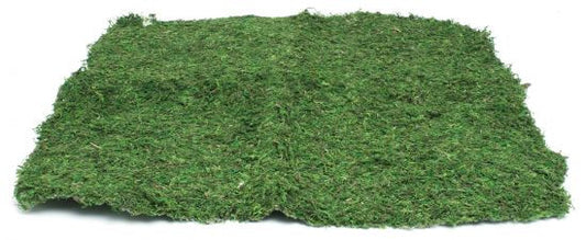 Moss Mat
