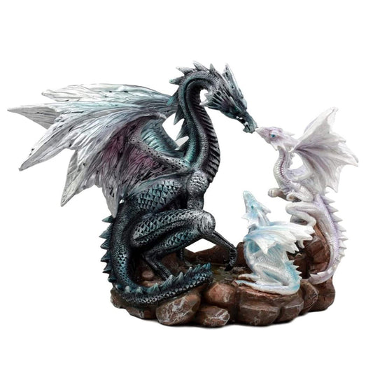Midnight Dragon Family