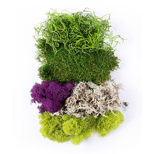 Moss Mix