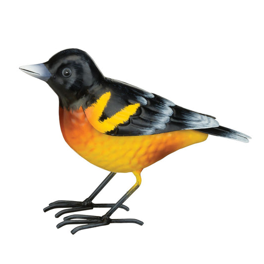 Oriole Decor