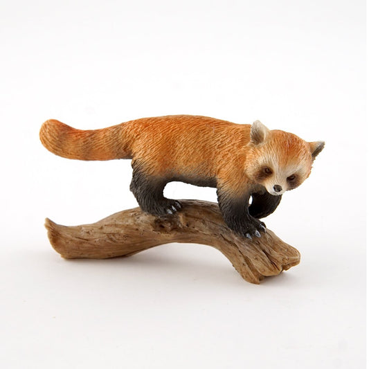 Red Panda on Branch