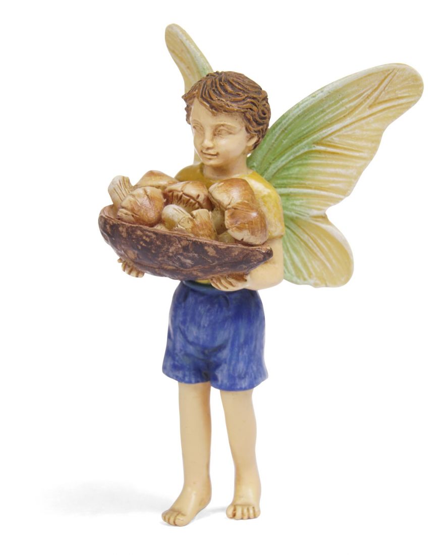 Fairy Boy Mushroom Harvest