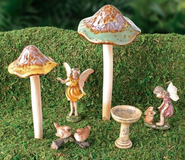 Fairy Mushroom Starter Kit